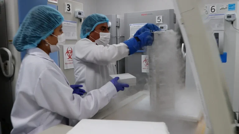 Doctores analizando las muestras obtenidas en el laboratorio